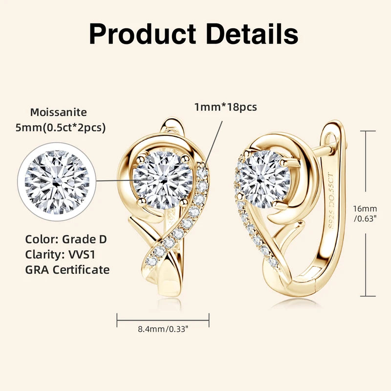 Lnngy Infinity Moissanite Diamond Earring Brinco Prata 925 Sterling Silver Hoop Earrings For Women Sparkling Fine Jewelry GIft - Brileon