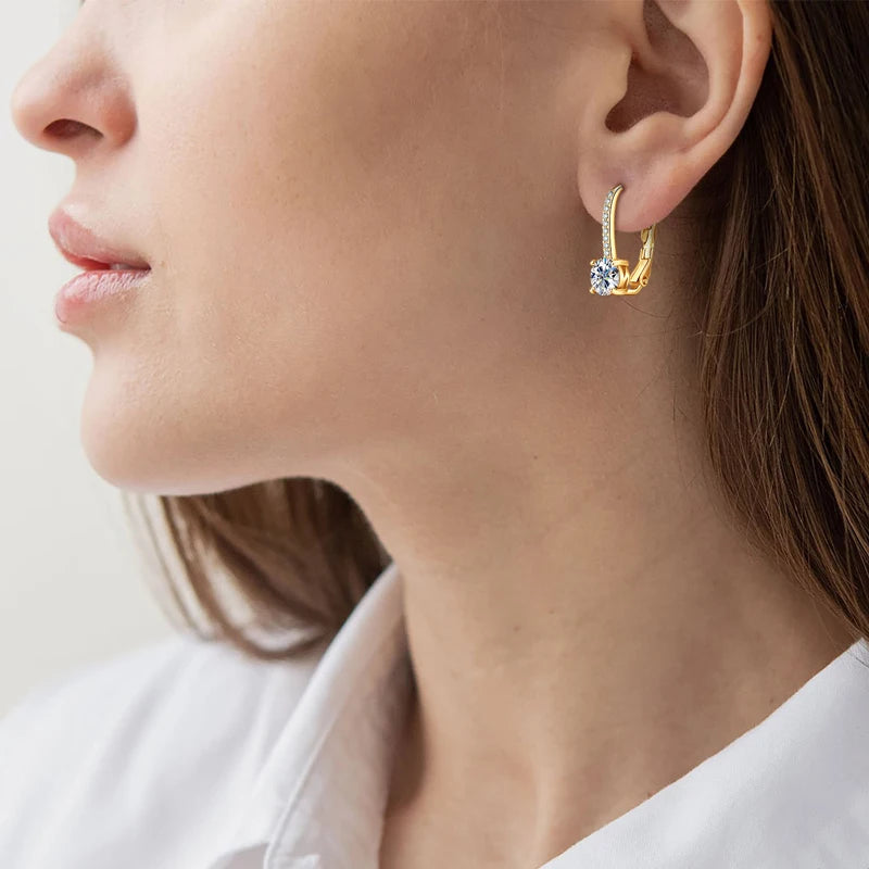 Trendy 14K Gold Plated Earrings 2023 Silver Hoops 925 Dangle Earrings for Women Lever Back Moissanite Earring Drop Girls Jewelry - Brileon